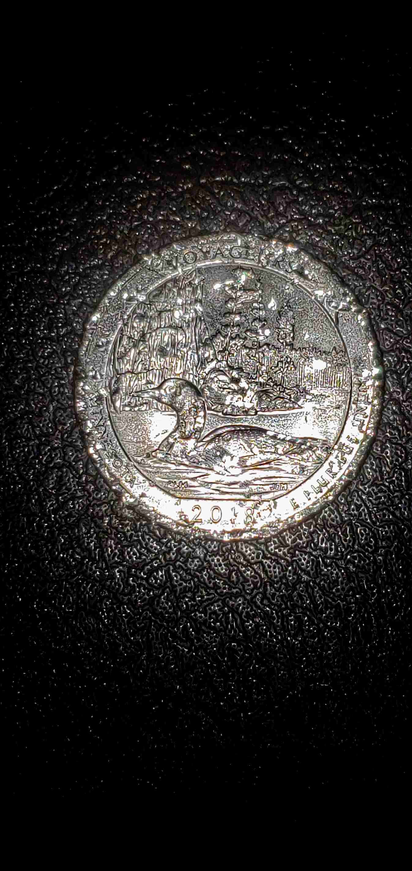 2018-Voyaguers...raised-Metal-On-Reverse.